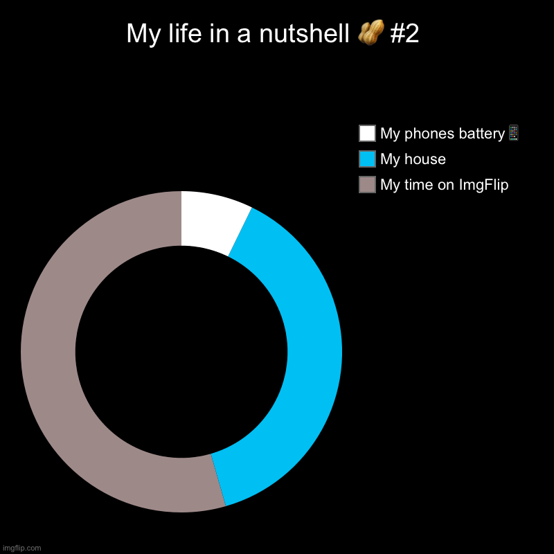 My life in a nutshell ? #2 | My time on ImgFlip, My house, My phones battery? | image tagged in charts,donut charts | made w/ Imgflip chart maker