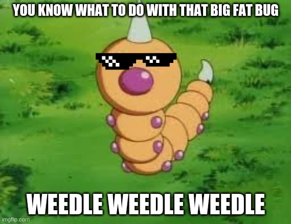 Weedle! | YOU KNOW WHAT TO DO WITH THAT BIG FAT BUG; WEEDLE WEEDLE WEEDLE | made w/ Imgflip meme maker