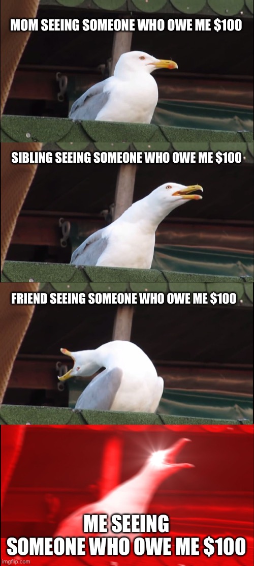 Inhaling Seagull | MOM SEEING SOMEONE WHO OWE ME $100; SIBLING SEEING SOMEONE WHO OWE ME $100; FRIEND SEEING SOMEONE WHO OWE ME $100; ME SEEING SOMEONE WHO OWE ME $100 | image tagged in memes,inhaling seagull | made w/ Imgflip meme maker