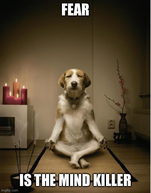 dog meditation funny | FEAR; IS THE MIND KILLER | image tagged in dog meditation funny | made w/ Imgflip meme maker