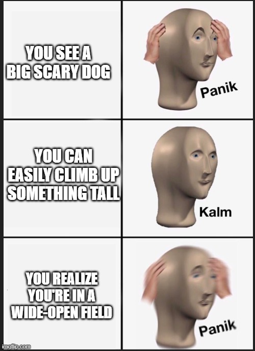 panik calm panik | YOU SEE A BIG SCARY DOG; YOU CAN EASILY CLIMB UP SOMETHING TALL; YOU REALIZE YOU'RE IN A WIDE-OPEN FIELD | image tagged in panik calm panik | made w/ Imgflip meme maker