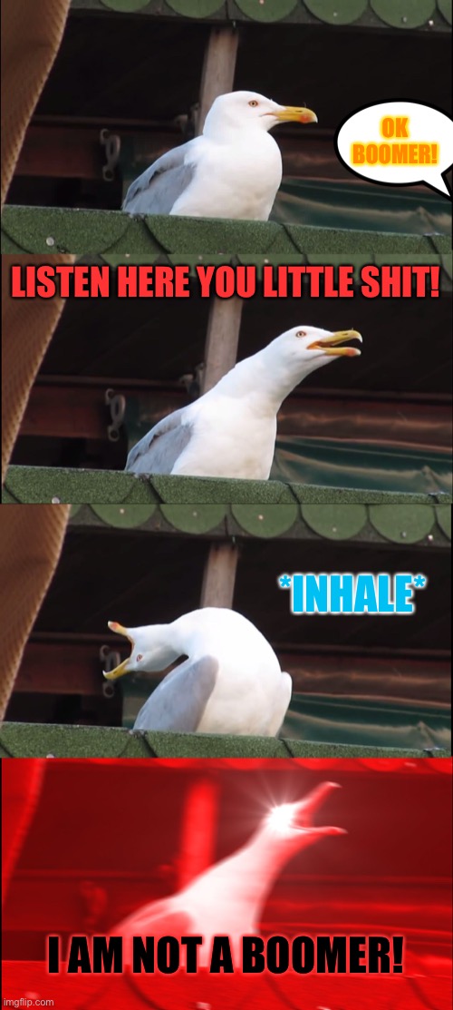 Inhaling Seagull | OK BOOMER! LISTEN HERE YOU LITTLE SHIT! *INHALE*; I AM NOT A BOOMER! | image tagged in memes,inhaling seagull | made w/ Imgflip meme maker