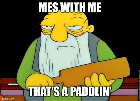 That's a paddlin' | MES WITH ME; THAT'S A PADDLIN' | image tagged in memes,that's a paddlin' | made w/ Imgflip meme maker
