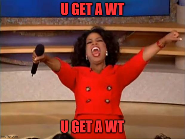Oprah You Get A | U GET A WT; U GET A WT | image tagged in memes,oprah you get a | made w/ Imgflip meme maker