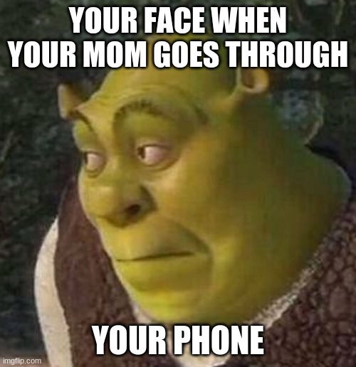 Shrek | YOUR FACE WHEN YOUR MOM GOES THROUGH; YOUR PHONE | image tagged in shrek | made w/ Imgflip meme maker