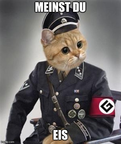 Grammar Nazi Cat | MEINST DU EIS | image tagged in grammar nazi cat | made w/ Imgflip meme maker