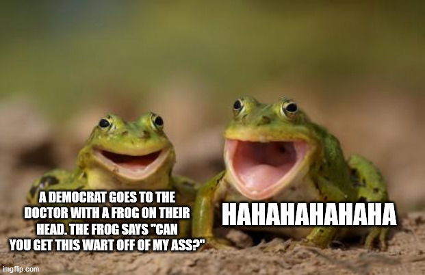 Talk about a pain in the ass | HAHAHAHAHAHA; A DEMOCRAT GOES TO THE DOCTOR WITH A FROG ON THEIR HEAD. THE FROG SAYS "CAN YOU GET THIS WART OFF OF MY ASS?" | image tagged in two happy frogs,democrats,jokes | made w/ Imgflip meme maker