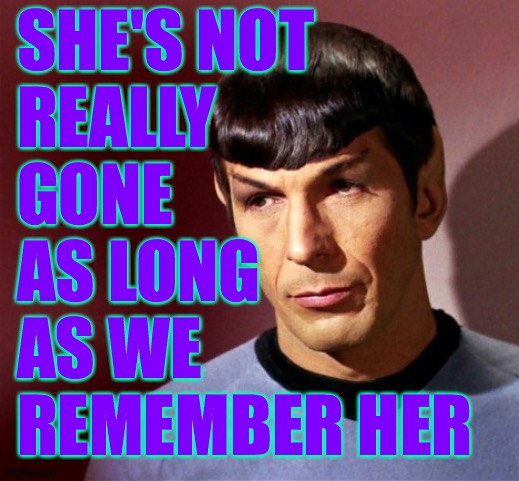 SHE'S NOT
REALLY
GONE
AS LONG
AS WE
REMEMBER HER | made w/ Imgflip meme maker