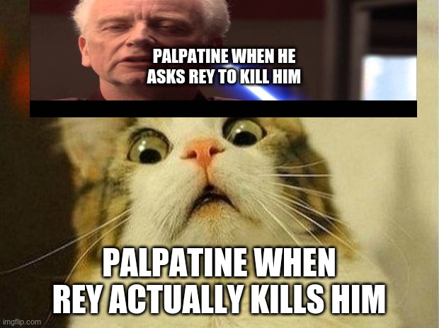 Scared Cat | PALPATINE WHEN HE ASKS REY TO KILL HIM; PALPATINE WHEN REY ACTUALLY KILLS HIM | image tagged in memes,scared cat | made w/ Imgflip meme maker