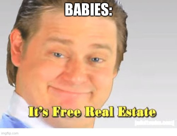 It's Free Real Estate | BABIES: | image tagged in it's free real estate | made w/ Imgflip meme maker