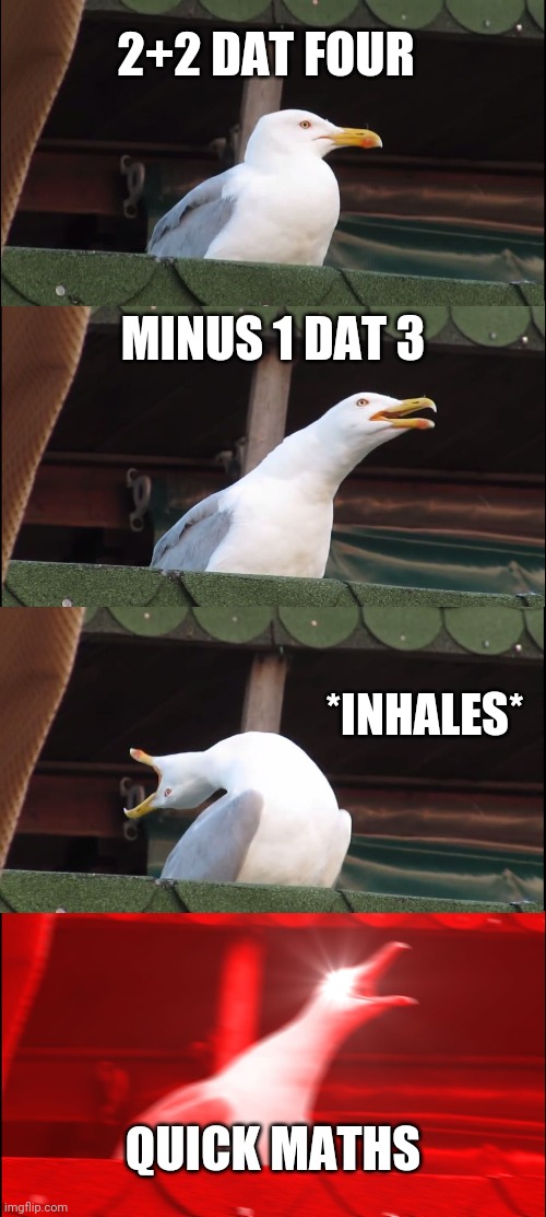 Inhaling Seagull Meme | 2+2 DAT FOUR; MINUS 1 DAT 3; *INHALES*; QUICK MATHS | image tagged in memes,inhaling seagull | made w/ Imgflip meme maker