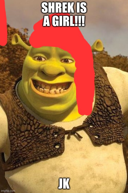 Smiling Shrek | SHREK IS A GIRL!!! JK | image tagged in smiling shrek | made w/ Imgflip meme maker