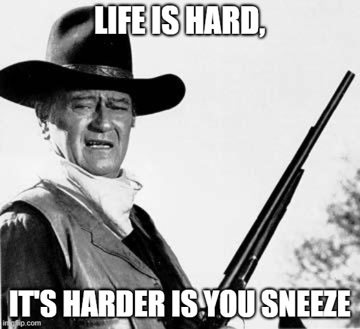 John Wayne Comeback | LIFE IS HARD, IT'S HARDER IS YOU SNEEZE | image tagged in john wayne comeback | made w/ Imgflip meme maker