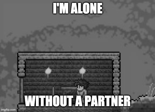 the WORST person to play terraria | I'M ALONE WITHOUT A PARTNER | image tagged in the worst person to play terraria | made w/ Imgflip meme maker