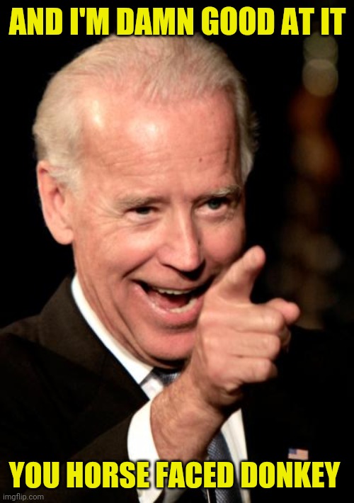Smilin Biden Meme | AND I'M DAMN GOOD AT IT YOU HORSE FACED DONKEY | image tagged in memes,smilin biden | made w/ Imgflip meme maker