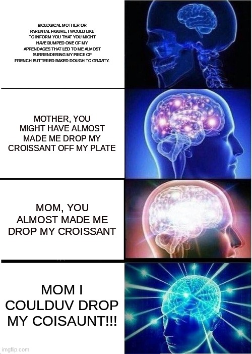 Expanding Brain | BIOLOGICAL MOTHER OR PARENTAL FIGURE, I WOULD LIKE TO INFORM YOU THAT YOU MIGHT HAVE BUMPED ONE OF MY APPENDAGES THAT LED TO ME ALMOST SURRENDERING MY PIECE OF FRENCH BUTTERED BAKED DOUGH TO GRAVITY. MOTHER, YOU MIGHT HAVE ALMOST MADE ME DROP MY CROISSANT OFF MY PLATE; MOM, YOU ALMOST MADE ME DROP MY CROISSANT; MOM I COULDUV DROP MY COISAUNT!!! | image tagged in memes,expanding brain | made w/ Imgflip meme maker