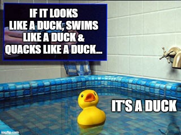 IF IT LOOKS LIKE A DUCK, SWIMS LIKE A DUCK & QUACKS LIKE A DUCK... IT'S A DUCK | made w/ Imgflip meme maker