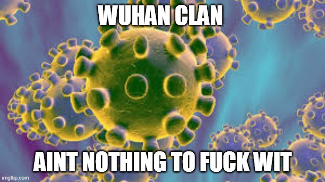 WUHAN CLAN; AINT NOTHING TO FUCK WIT | image tagged in covid-19 | made w/ Imgflip meme maker