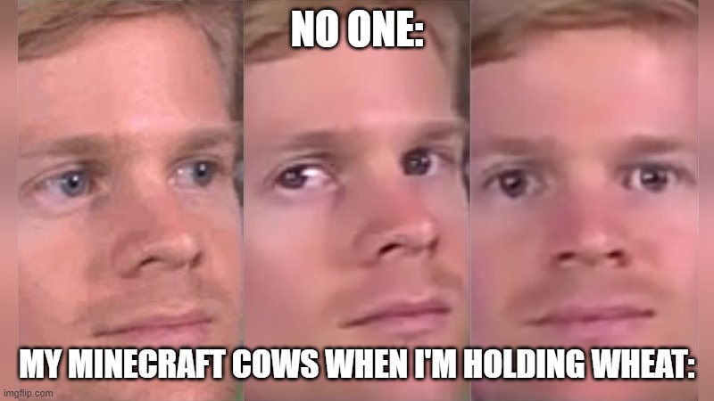 Fourth wall breaking white guy | NO ONE:; MY MINECRAFT COWS WHEN I'M HOLDING WHEAT: | image tagged in fourth wall breaking white guy | made w/ Imgflip meme maker