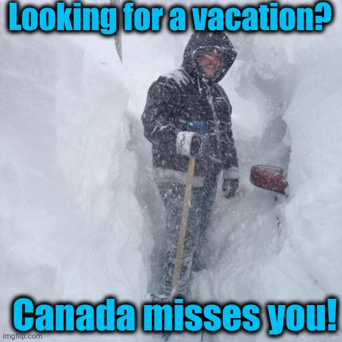 SNOW!!! | Looking for a vacation? Canada misses you! | image tagged in snow | made w/ Imgflip meme maker