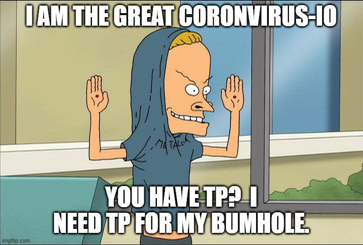 You have TP? Does ANYBODY have TP?? | I AM THE GREAT CORONVIRUS-IO; YOU HAVE TP?  I NEED TP FOR MY BUMHOLE. | image tagged in cornholio,the great toilet paper shortage 2020 | made w/ Imgflip meme maker
