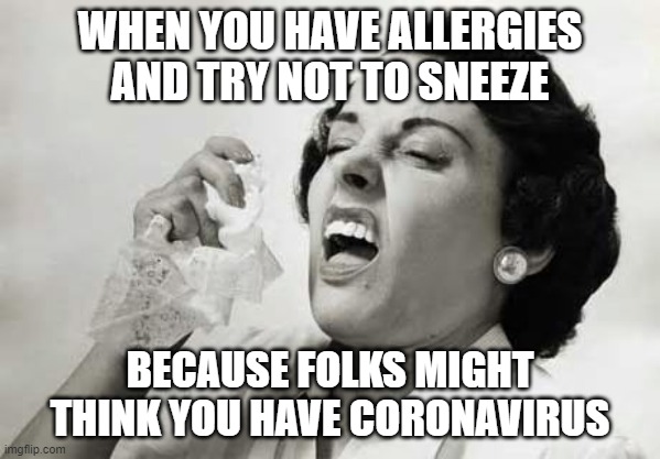 Sneezing  | WHEN YOU HAVE ALLERGIES AND TRY NOT TO SNEEZE; BECAUSE FOLKS MIGHT THINK YOU HAVE CORONAVIRUS | image tagged in sneezing | made w/ Imgflip meme maker