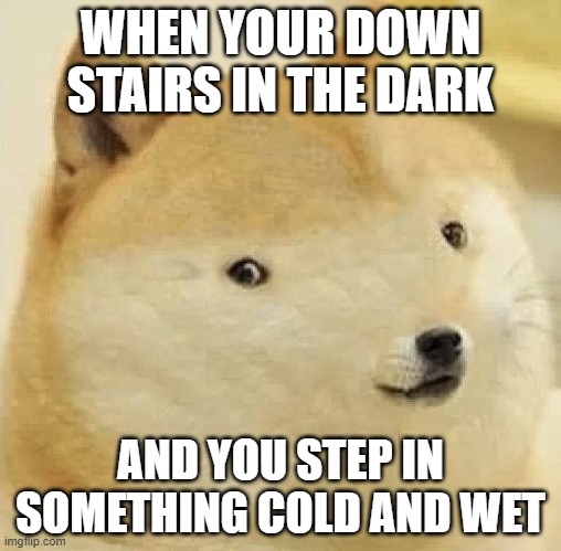Doge tiny face | WHEN YOUR DOWN STAIRS IN THE DARK; AND YOU STEP IN SOMETHING COLD AND WET | image tagged in doge tiny face | made w/ Imgflip meme maker