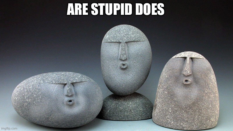 Oof Stones | ARE STUPID DOES | image tagged in oof stones | made w/ Imgflip meme maker