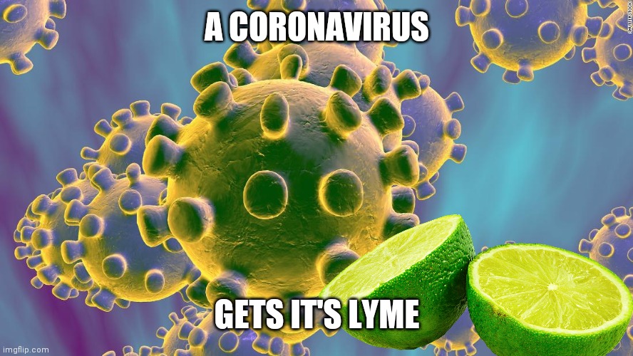 Coronavirus | A CORONAVIRUS; GETS IT'S LYME | image tagged in coronavirus,lime,memes | made w/ Imgflip meme maker