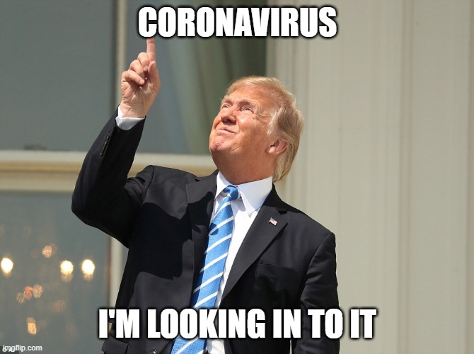 Trump Sun | CORONAVIRUS; I'M LOOKING IN TO IT | image tagged in trump sun,coronavirus,trump | made w/ Imgflip meme maker