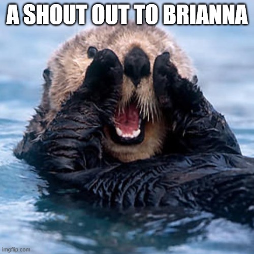 Shouting Otter | A SHOUT OUT TO BRIANNA | image tagged in shouting otter | made w/ Imgflip meme maker