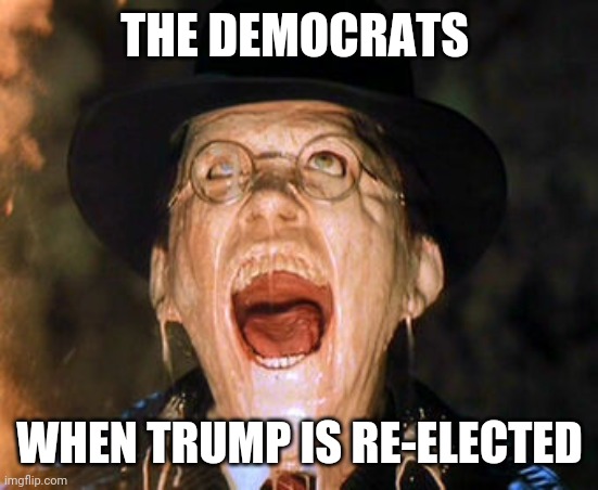 Trump re-election result | THE DEMOCRATS; WHEN TRUMP IS RE-ELECTED | image tagged in trump,democrats,melting,election | made w/ Imgflip meme maker
