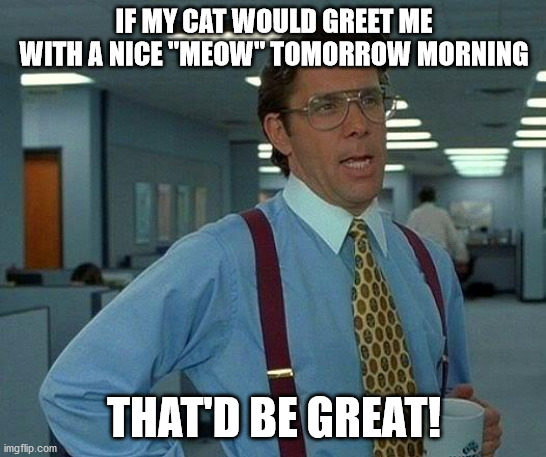 That Would Be Great | IF MY CAT WOULD GREET ME WITH A NICE "MEOW" TOMORROW MORNING; THAT'D BE GREAT! | image tagged in memes,that would be great | made w/ Imgflip meme maker