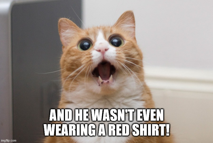 Amazed cat | AND HE WASN'T EVEN WEARING A RED SHIRT! | image tagged in amazed cat | made w/ Imgflip meme maker