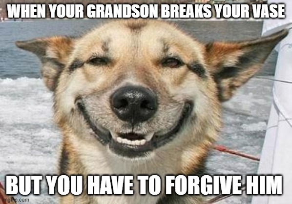 smiling dog | WHEN YOUR GRANDSON BREAKS YOUR VASE; BUT YOU HAVE TO FORGIVE HIM | image tagged in smiling dog | made w/ Imgflip meme maker