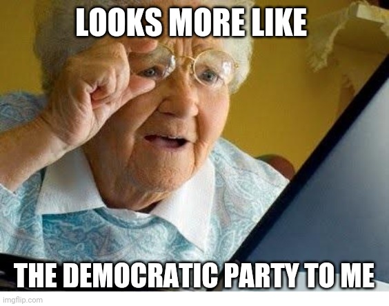old lady at computer | LOOKS MORE LIKE THE DEMOCRATIC PARTY TO ME | image tagged in old lady at computer | made w/ Imgflip meme maker