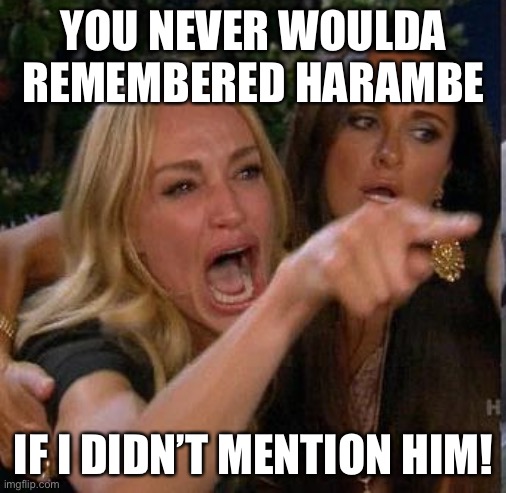 Screaming At | YOU NEVER WOULDA REMEMBERED HARAMBE; IF I DIDN’T MENTION HIM! | image tagged in screaming at | made w/ Imgflip meme maker