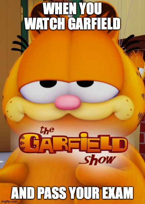 WHEN YOU WATCH GARFIELD; AND PASS YOUR EXAM | image tagged in memes | made w/ Imgflip meme maker