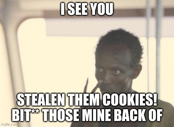 I'm The Captain Now | I SEE YOU; STEALEN THEM COOKIES! BIT** THOSE MINE BACK OF | image tagged in memes,i'm the captain now | made w/ Imgflip meme maker