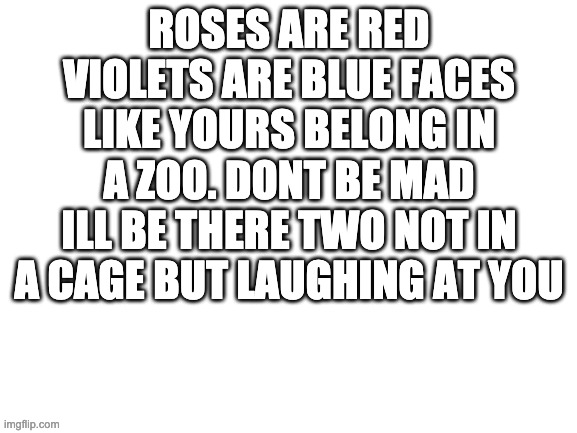 Blank White Template | ROSES ARE RED VIOLETS ARE BLUE FACES LIKE YOURS BELONG IN A ZOO. DONT BE MAD ILL BE THERE TWO NOT IN A CAGE BUT LAUGHING AT YOU | image tagged in blank white template | made w/ Imgflip meme maker