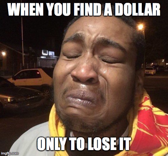 WHEN YOU FIND A DOLLAR; ONLY TO LOSE IT | image tagged in funny memes | made w/ Imgflip meme maker