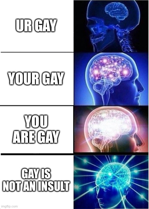 Gay | UR GAY; YOUR GAY; YOU ARE GAY; GAY IS NOT AN INSULT | image tagged in memes,expanding brain,gay | made w/ Imgflip meme maker