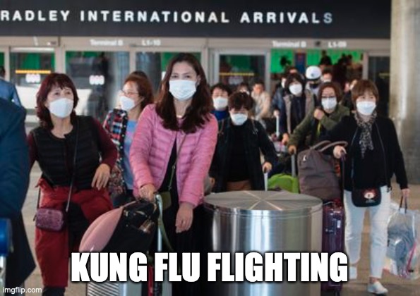 KUNG FLU FLIGHTING | image tagged in coronavirus,china | made w/ Imgflip meme maker