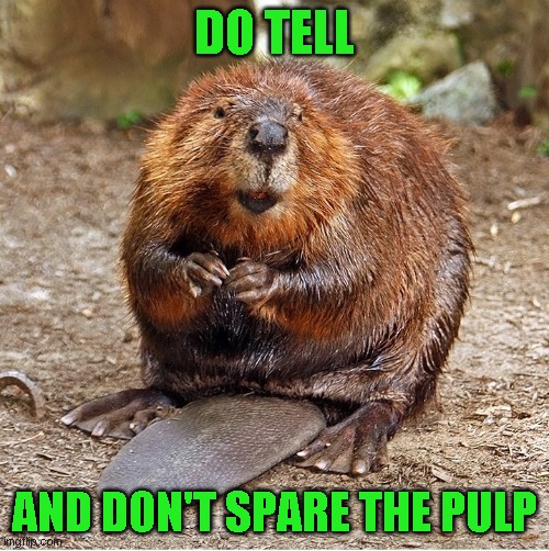 DO TELL AND DON'T SPARE THE PULP | made w/ Imgflip meme maker