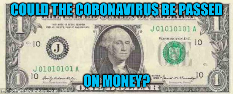 Since we're already panicking this won't matter | COULD THE CORONAVIRUS BE PASSED; ON MONEY? | image tagged in dollar | made w/ Imgflip meme maker
