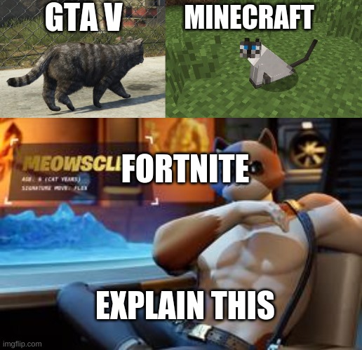 Cats in Games | GTA V; MINECRAFT; FORTNITE; EXPLAIN THIS | image tagged in funny memes | made w/ Imgflip meme maker