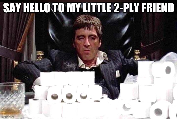 SAY HELLO TO MY LITTLE 2-PLY FRIEND | image tagged in scarface meme,coronavirus,humor | made w/ Imgflip meme maker