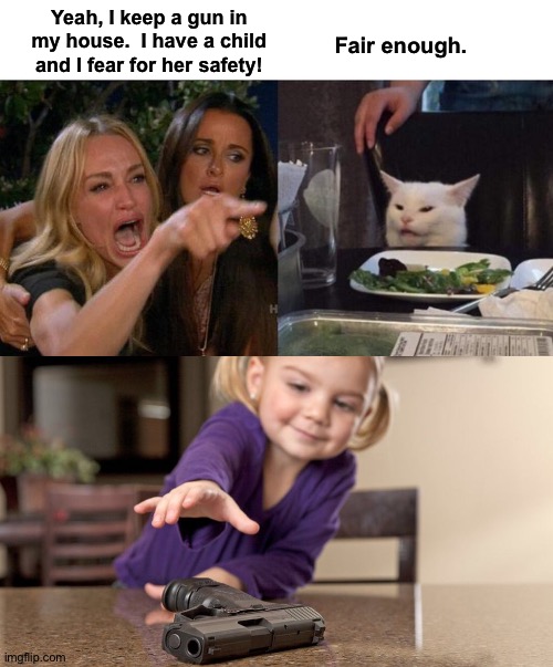 Make of it what you will | Fair enough. Yeah, I keep a gun in my house.  I have a child and I fear for her safety! | image tagged in memes,woman yelling at cat,child and gun | made w/ Imgflip meme maker