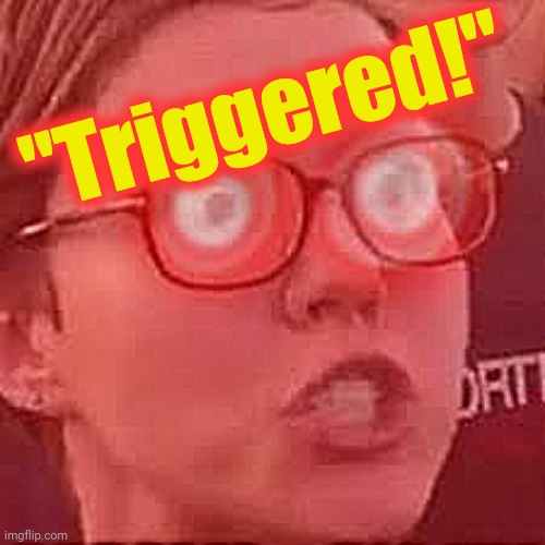 Triggered | "Triggered!" | image tagged in triggered | made w/ Imgflip meme maker