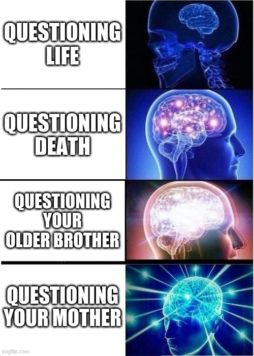 Expanding Brain Meme | QUESTIONING LIFE; QUESTIONING DEATH; QUESTIONING YOUR OLDER BROTHER; QUESTIONING YOUR MOTHER | image tagged in memes,expanding brain | made w/ Imgflip meme maker